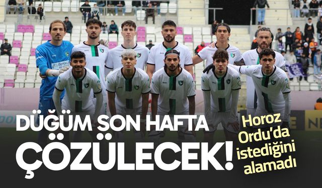 Son dakika… Denizlispor Ordu’dan eli boş döndü!