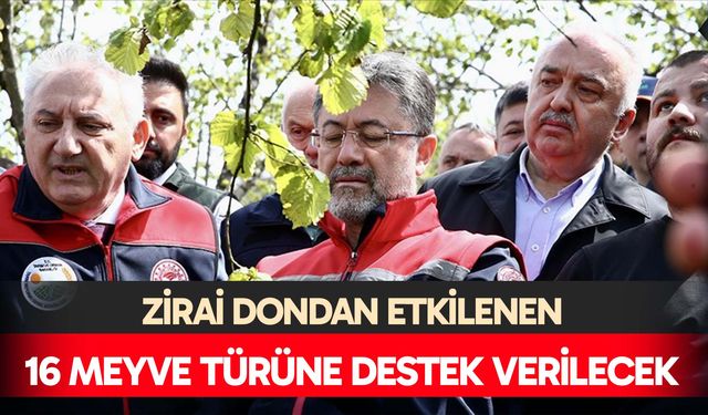 16 meyve türü için destek verilecek