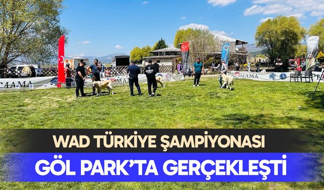 WAD Türkiye Şampiyonası Göl Park’ta Gerçekleşti