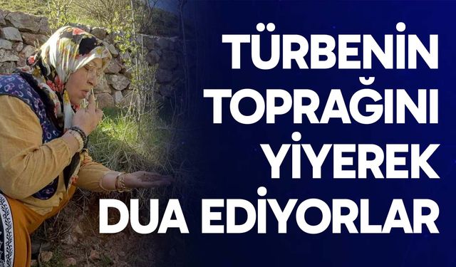 Türbenin toprağını yiyerek dua ediyorlar