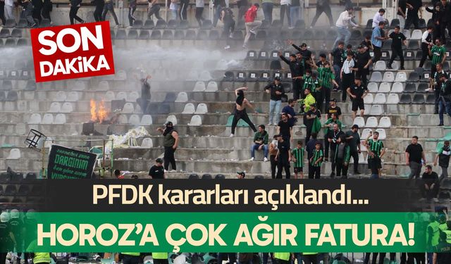 PFDK’dan Denizlispor’a çok ağır fatura…