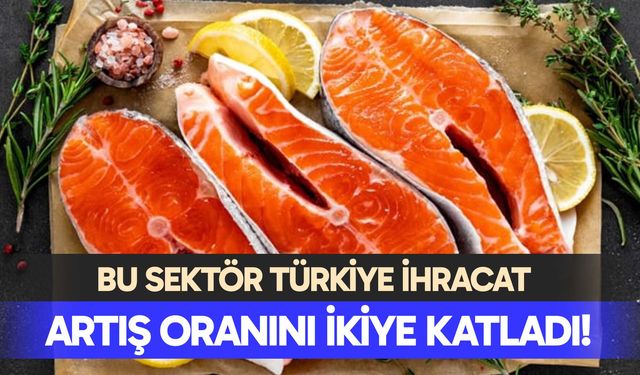 Bu sektörBTürkiye ihracat artış oranını ikiye katladı!