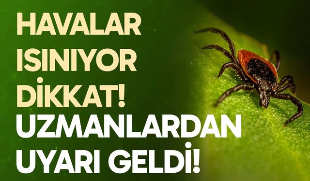 Havalar ısınıyor uzmanlar uyardı!