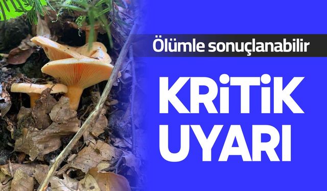 Mantar zehirlenmelerine karşı kritik uyarı: Ölümle sonuçlanabilir