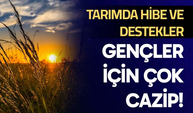 Hibe ve destekler gençler için çok cazip!