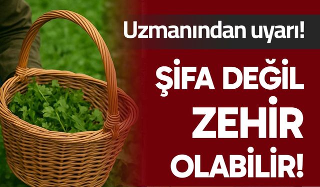 Şifa değil zehir olabilir!