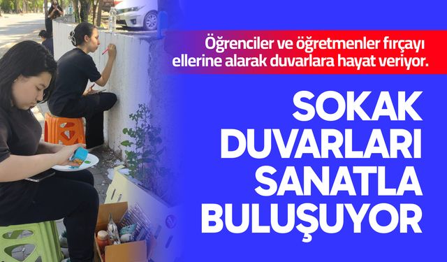 Sokak Duvarları Sanatla Buluşuyor