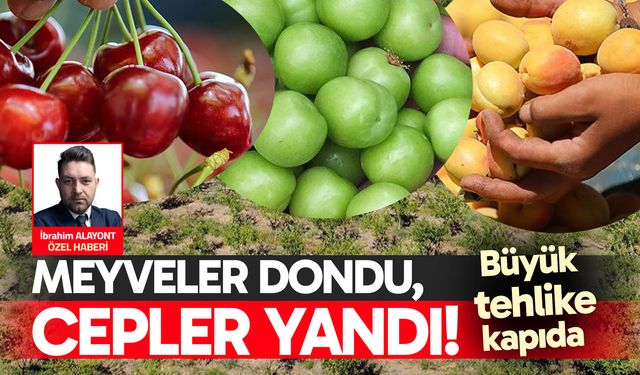 Meyveler dondu, cepler yandı! Başkan Öztürk yetkililere seslendi