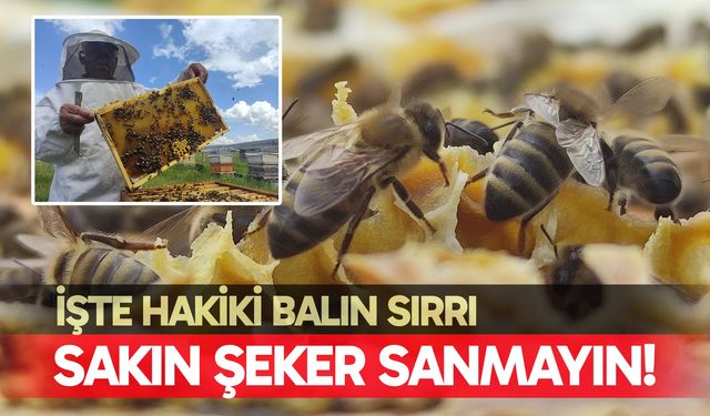 Evliyaoğlu: "Hakiki bal donup kristalize olur''