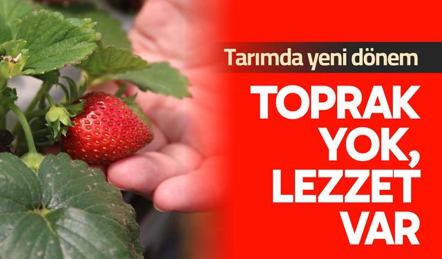 Tarımda yeni dönem