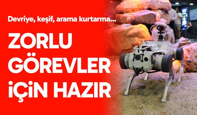 Robot köpekler zorlu görevler için hazır