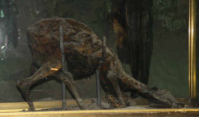 Bir şehir bunu konuşuyor: Keloğlan’ın memleketi neresi?