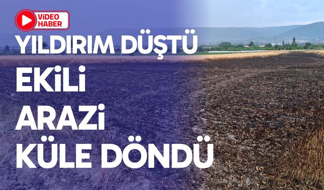 Yıldırım düşen ekili arazi küle döndü