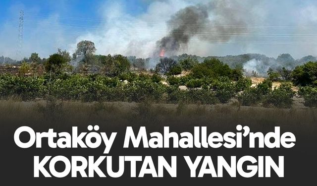 Ortaköy Mahallesi’nde korkutan yangın