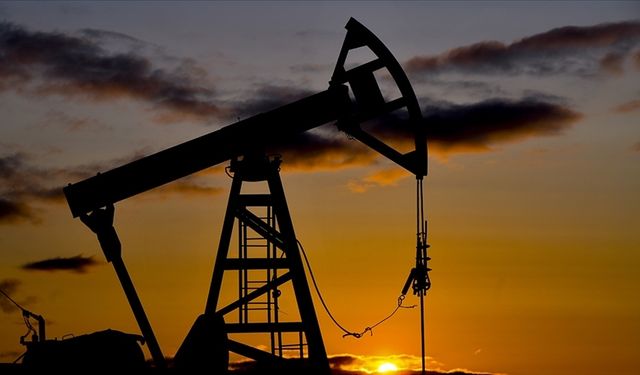 Hindistan'ın, Rusya'dan petrol alımını sürdüreceği iddiası