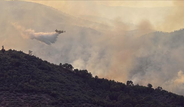 Portekiz'de orman yangınlarıyla mücadele devam ediyor