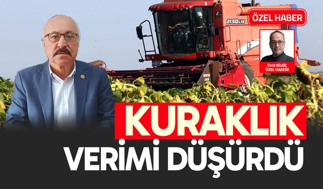 Kuraklık verimi düşürdü