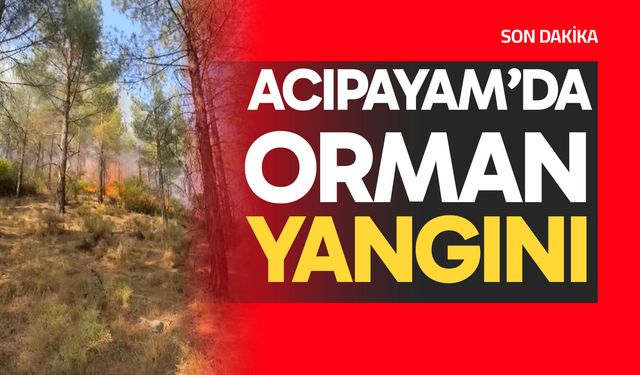 Acıpayam'da orman yangını