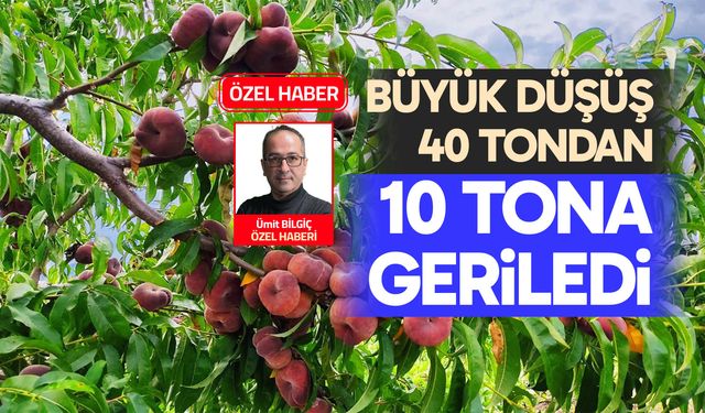 Büyük düşüş: 40 tondan 10 tona geriledi