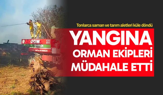 Tonlarca saman ve tarım aletleri küle döndü