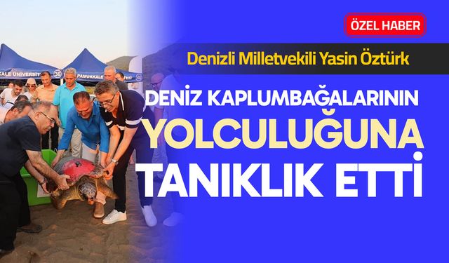 Deniz kaplumbağalarının yolculuğuna tanıklık etti