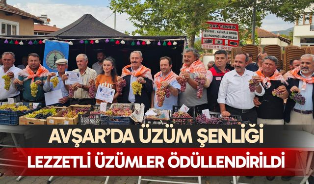 Avşar’da üzüm şenliği