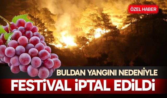 Buldan yangını nedeniyle festival iptal edildi
