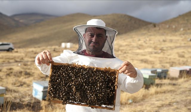 Dede mirası arıcılığı üçüncü kuşak temsilci olarak sürdürüyor
