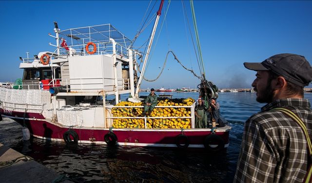 Egeli balıkçılar tayfa bulmakta zorlanıyor