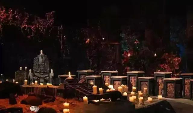 Milli boksör Seren Ay Çetin Survivor 2026'da