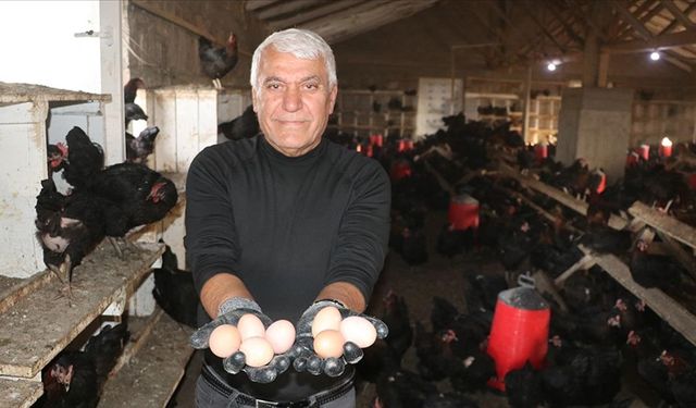 Çocukluk hayalini gerçekleştirmek için memleketine tavuk çiftliği kurdu