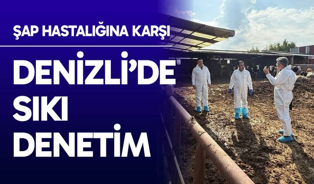 Şap hastalığına karşı Denizli’de sıkı denetim