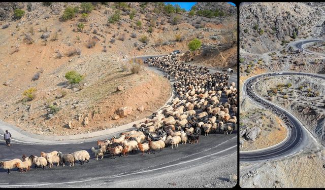 Göçerler 3 bin rakımlı yaylalardan kışlaklara dönüyor