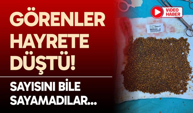 Görenler hayrete düştü!