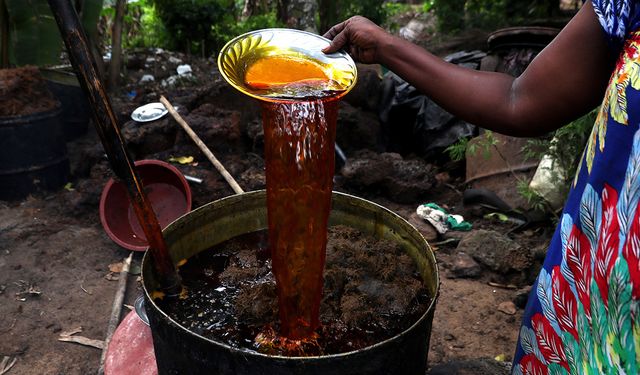 Malezya ile ABD arasında palm yağı savaşı