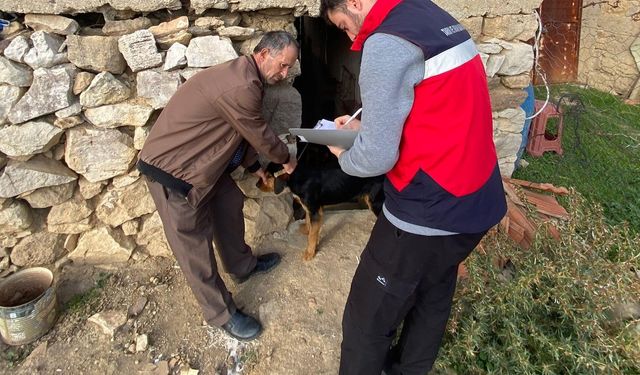 Sahipli kedi ve köpeklere mikroçip ve kuduz aşısı uygulaması yapıldı