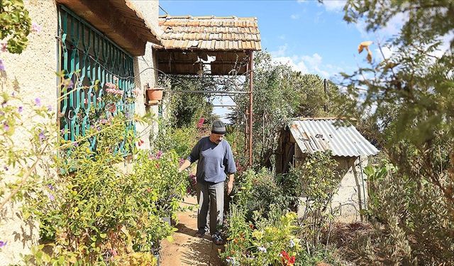 Suriyeli koleksiyoner Receb, evinde binlerce bitki türü yetiştiriyor
