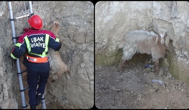 Kuyuya düşen keçiyi itfaiye kurtardı