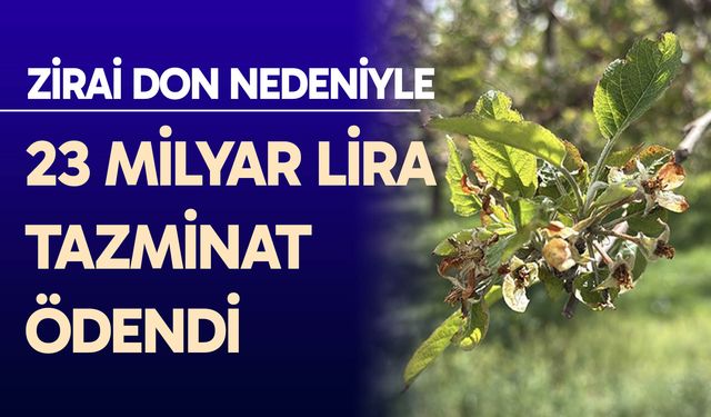 23 milyar lira zirai don tazminatı ödendi