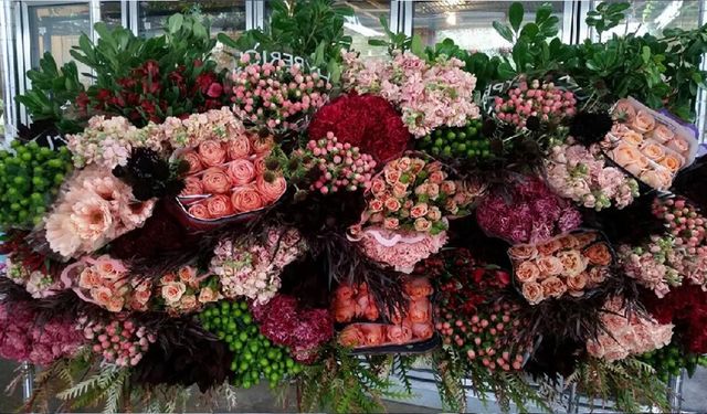 YAZLIK ÇİÇEK ALIMI YAPILACAK