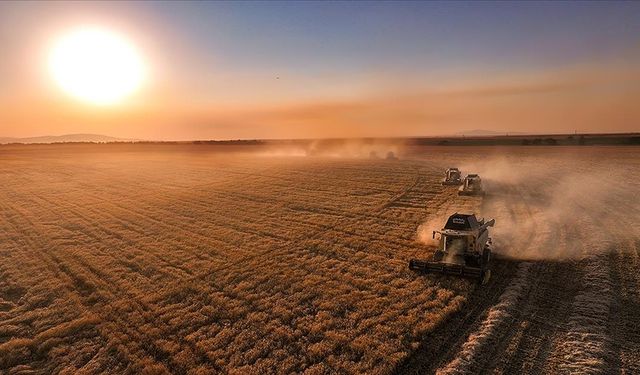 Üreticilere 376,8 milyon lira ödendi