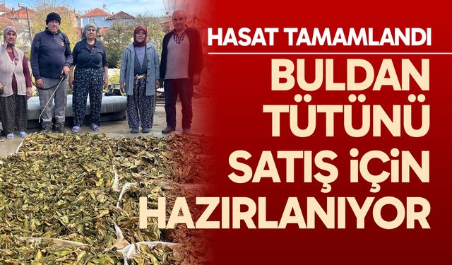 Hasadı tamamlanan tütünler satış için hazırlanıyor
