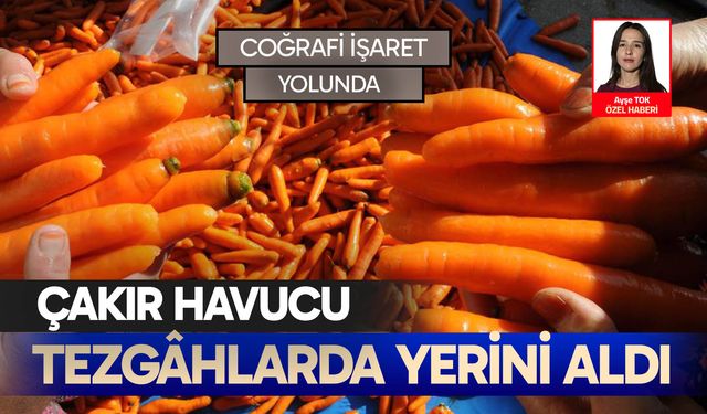 Çakır Havucu tezgahlarda yerini aldı