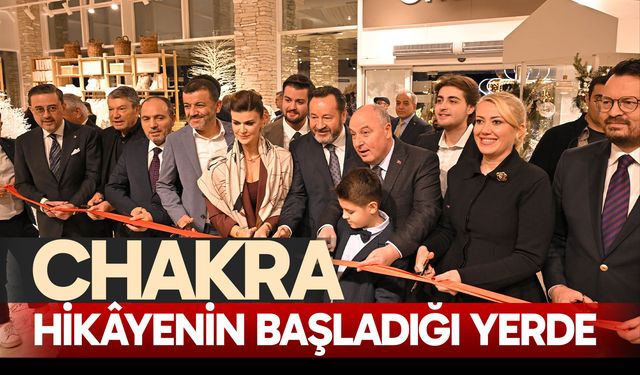 Chakra hikâyenin başladığı yerde