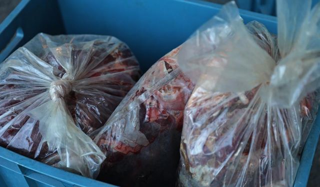 Otobüste taşınan çeyrek ton et ele geçirildi