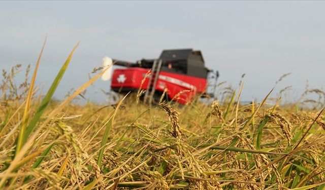 Kasımda üreticilere 4,2 milyar lira hasar tazminatı ödendi