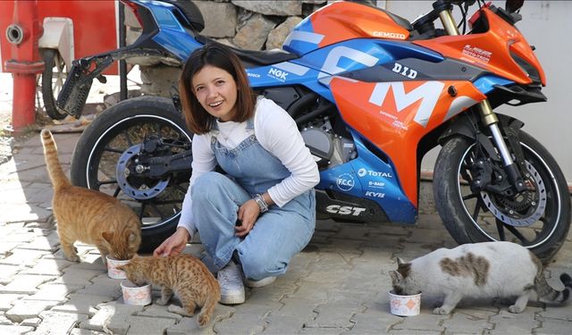 Kazanda pişirdiği etlerle sahipsiz kedileri besliyor