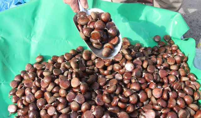 Hasadı zahmetli, satışı ise sabır işi