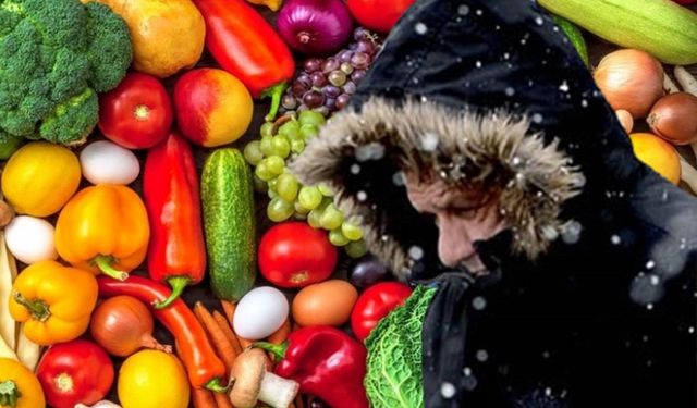 Kışa güçlü mikrobiyota ile girin