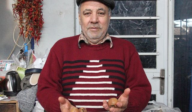 Muşmula vatandaşlardan ilgi görüyor